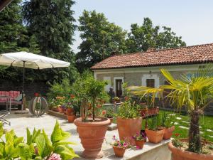 Belvedere LangheApartment Gatto - MZO101 by Interhome的种有盆栽植物和遮阳伞的花园