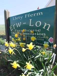 庞特芬Erw-Lon Farm的前面有黄色花的标志