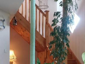 邓坎嫩赛丽斯住宿加早餐旅馆的木楼梯和室内植物