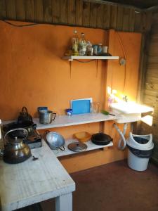 伊瓜苏港Iguazu Rey Hostal的厨房配有炉灶和带锅碗瓢盆的架子。