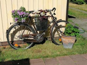 尤尔马拉厄尔贝别墅的一辆自行车停在鲜花的房子旁边