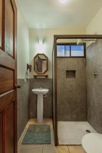 南圣胡安Hostel Tropical and CoWorking的浴室配有卫生间、盥洗盆和淋浴。