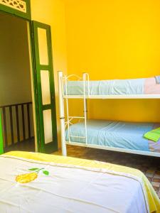 萨尔瓦多普罗维登西亚旅舍的客房设有两张双层床和黄色的墙壁