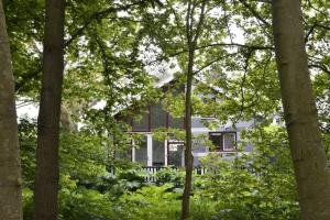 EelderwoldeDINOS - Whole guesthouse - Nearby Groningen and lake的相册照片