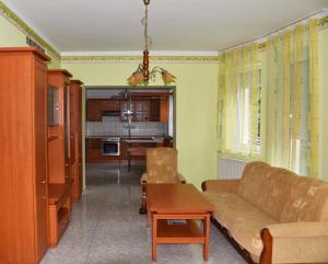 伦蒂Pilikán Apartments Lenti的客厅配有沙发和桌子