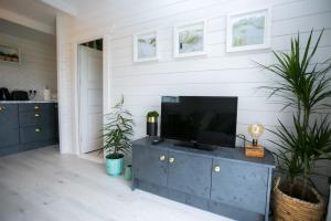 基拉尼The Paddocks Cabin - Stylish, Cozy & Private的一间客厅,客厅内配有蓝色橱柜上的电视