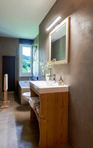 代堡Maison d'hôtes Ermitage的一间带水槽、卫生间和镜子的浴室