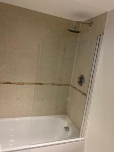 斯旺西Hideaway Bay的带淋浴的浴室