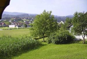EibiswaldFerienwohnung Hammerlhaus-Zirngast的一片绿草丛生的树木和房子