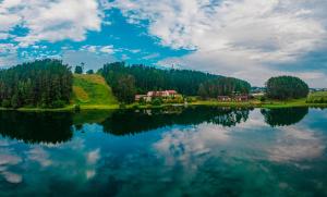 伊格纳利纳Svečių namai ALDAIVITA的享有带房屋和树木的湖泊美景