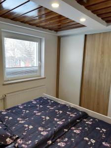 拉特西Žbogar的一间卧室设有一张床和一个窗口