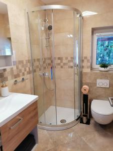 拉特西Žbogar的带淋浴、卫生间和盥洗盆的浴室