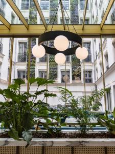 巴黎Kimpton - St Honoré Paris, an IHG Hotel的挂在植物丛中的吊灯