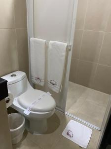 托卢卡Hotel Palass的浴室设有卫生间和带毛巾的淋浴。