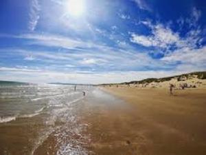 坎伯利Camber Sands Holiday Chalets - The Grey的沙滩上的人在沙滩上和大海上散步