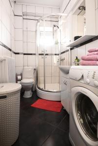 贝尔格莱德Apartment Petra 071的一间带洗衣机和卫生间的浴室