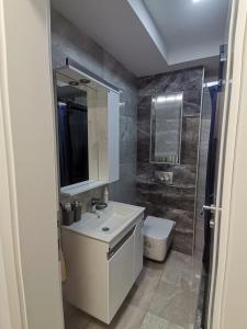 索科矿泉村Apartman Vitez Sokobanja的一间带水槽、卫生间和镜子的浴室