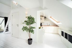 安特卫普Beautiful Terrace Apartment in the Heart of Antwerp的中间有盆栽的白色厨房