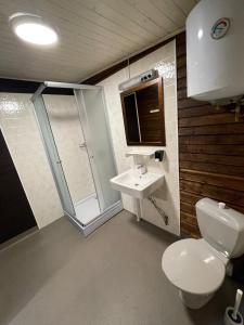 Vaibla外比拉度假中心酒店的浴室配有卫生间、盥洗盆和淋浴。