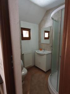 普雷德鲁特Casa Sofia的浴室配有卫生间、盥洗盆和淋浴。