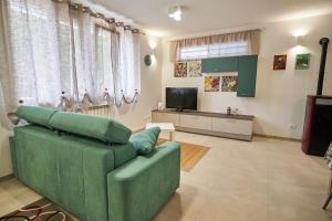 萨沃纳Ca' de Paggia的客厅配有绿色沙发和电视