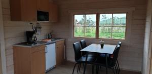 DrangsnesHvammur 5 with private hot tub的厨房配有桌椅和窗户。