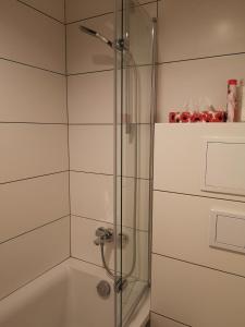鲁达希隆斯卡Apartamenty Jaskinia Solna的浴室里设有玻璃门淋浴