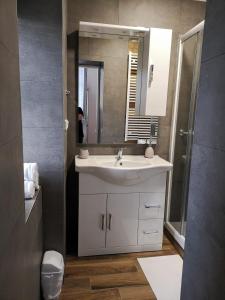 斯拉尼Fine apartment in centrum of Slaný with Aircondition的浴室设有白色水槽和镜子