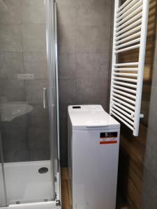 斯拉尼Fine apartment in centrum of Slaný with Aircondition的浴室内配有小型白色冰箱,