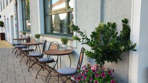 格拉茨费池因格格拉兹酒店的花卉庭院里的一排桌椅
