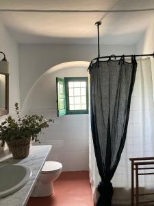 蒙蒂利亚Casa Rural Finca Buytrón的带淋浴帘和卫生间的浴室