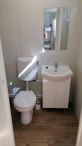 CurteniGLAMTAINER COURT的一间带卫生间、水槽和镜子的浴室