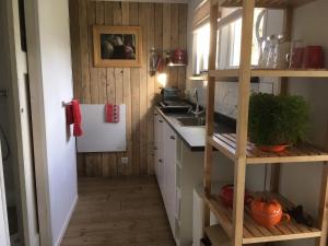 Beemster Tiny House的厨房或小厨房
