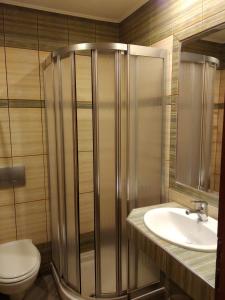 萨索斯埃利玛丽亚旅馆的带淋浴、盥洗盆和卫生间的浴室