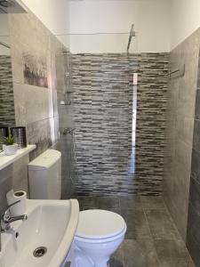 锡比乌Roomzzz Sibiu的浴室配有卫生间、盥洗盆和淋浴。