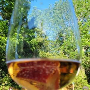 滨湖尼亚加拉La Maison de Sophie的一杯红葡萄酒,背景是树木