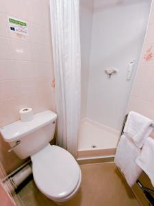SawtryRedwings Lodge Sawtry Huntingdon的浴室配有白色卫生间和淋浴。