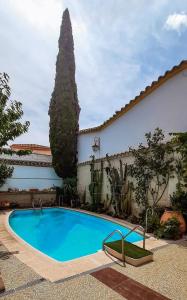 阿尔玛格鲁La Casa del Obispo的一座树屋前的游泳池