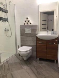 苏瓦乌基Apartament Noniewicza 95的浴室配有卫生间、盥洗盆和淋浴。