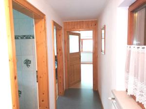 OberortHAUS RUSSOLD -FEWO22 in entspannter Atmosphäre - GRÜNER SEE的带淋浴的浴室和木门。
