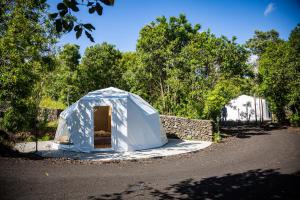 英雄港Quinta do Abacate - Glamping Park的相册照片