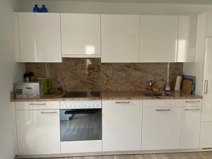 洛索内Rustico San Giorgio: Losone的白色的厨房配有白色橱柜和水槽