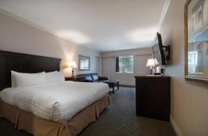 尼尔逊尼尔森威望酒店的配有一张床和一台平面电视的酒店客房