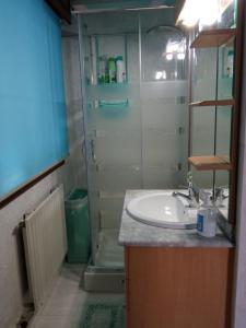 维戈Apartamento Duplex Vigo的一间带水槽和淋浴的浴室