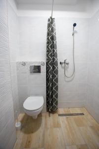 尤斯托尼莫斯基Planeta的一间带卫生间和淋浴的浴室
