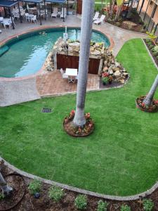 达尔文阿勒泰假日公寓酒店的庭院里棕榈树的游泳池