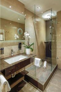 纽伦堡伯格施密特加尼蒂普托普酒店的一间带水槽和玻璃淋浴的浴室