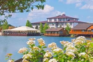 Podgortsy奥运村公寓的湖上一座种满鲜花的大房子