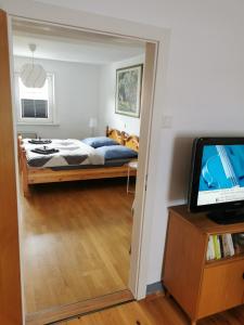 MorschenGästehaus Domänenblick的一间卧室配有一张床和一台电视