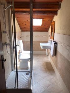 BordognaLa Mansarda di Casa Vacanze La Vite的带淋浴、卫生间和盥洗盆的浴室